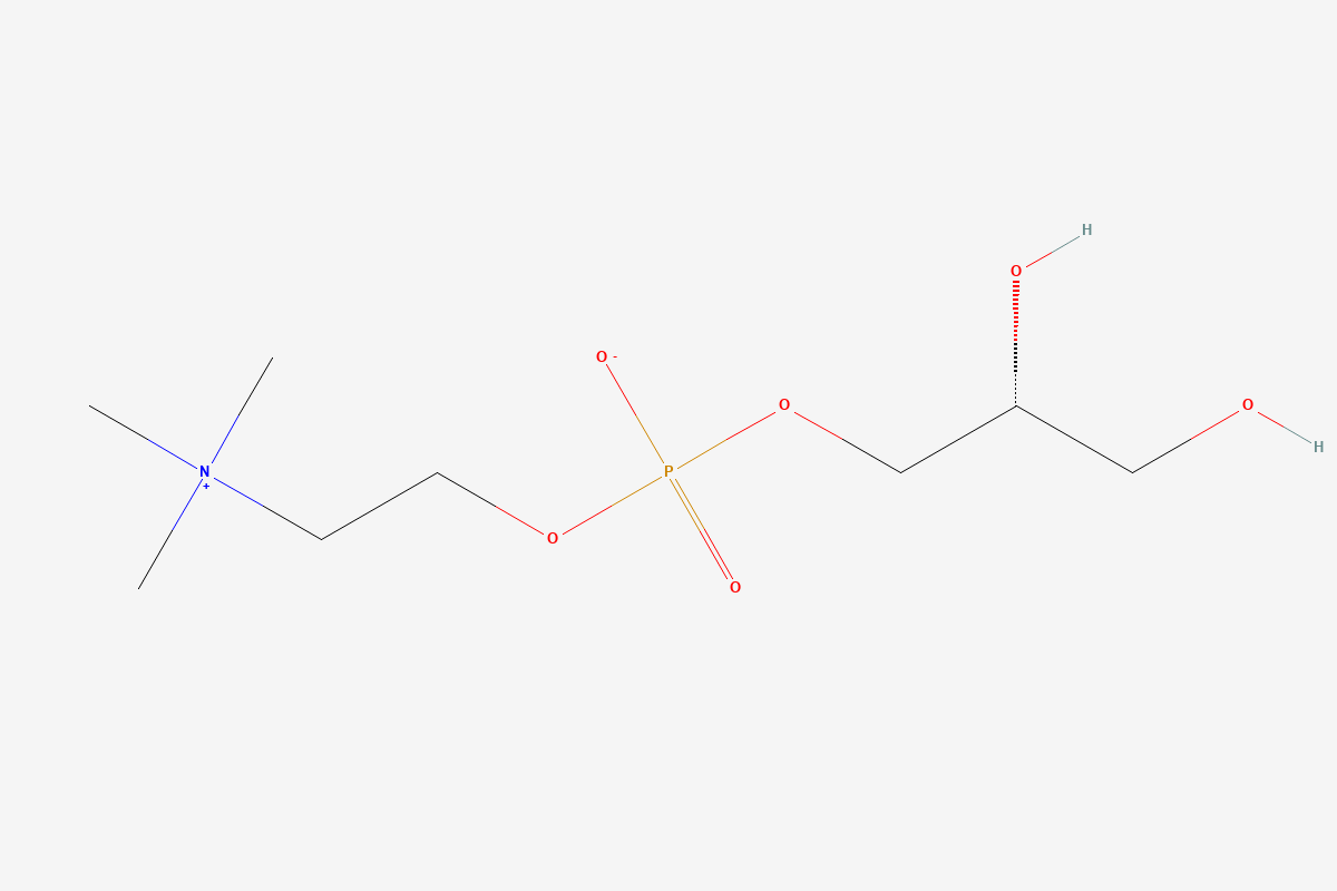 Alpha-GPC 2D chemical structure