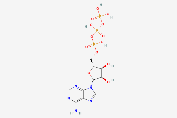 Adenosine triphosphate 2D chemical structure